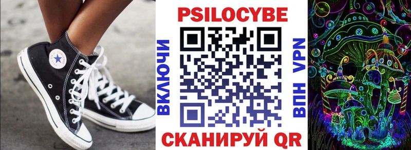 Псилоцибиновые грибы Cubensis Прохладный